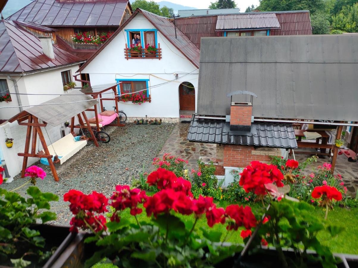 Hotel Casa Toth Din Tipterai Vişeu de Sus Exterior foto