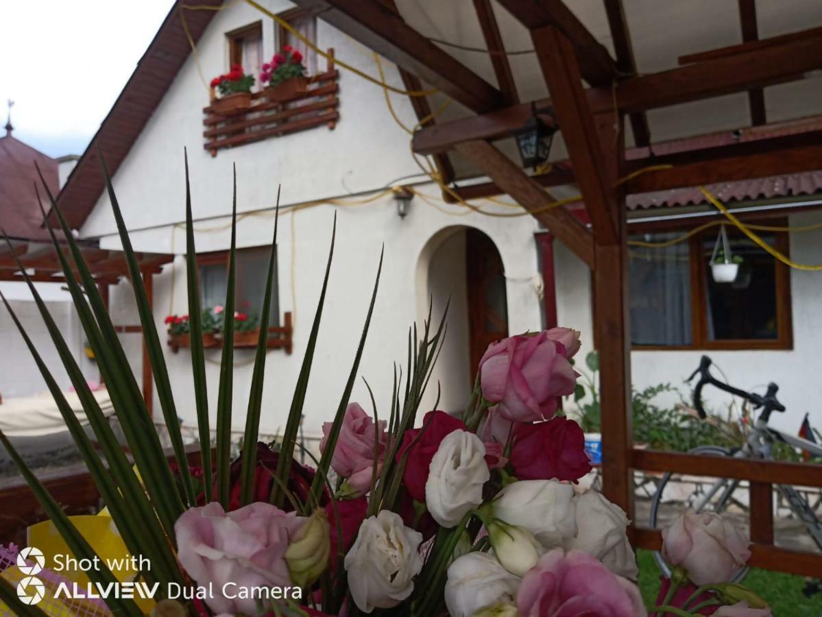 Hotel Casa Toth Din Tipterai Vişeu de Sus Exterior foto