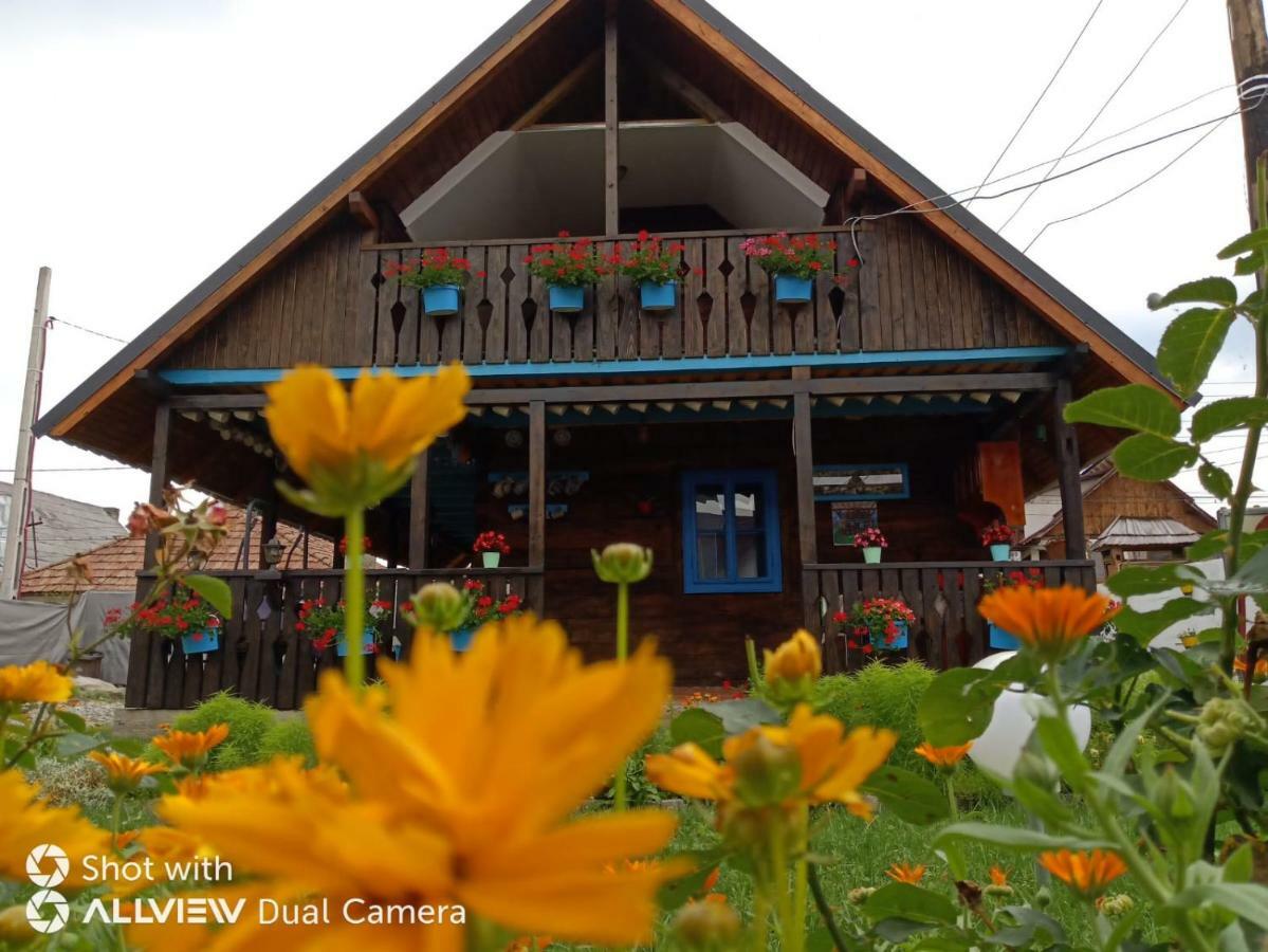 Hotel Casa Toth Din Tipterai Vişeu de Sus Exterior foto